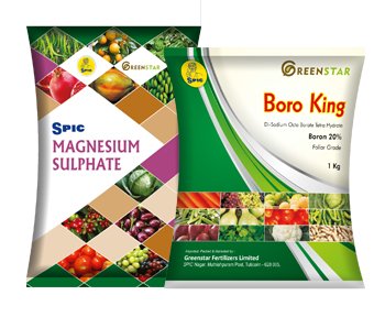 laminators in chennai, flexible packaging in chennai